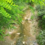 20150618_121025