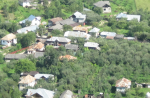 barbuletu