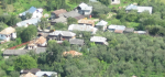 barbuletu