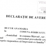 Bucur AnaMaria secretar