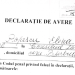 Popescu Elena consilier