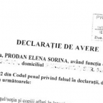 prodan elena sorina