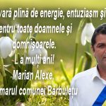 barbuletu-483×300