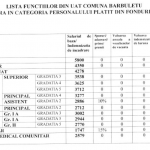 Functii Barbuletu 1