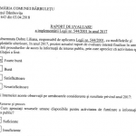 raport de evaluare 2017